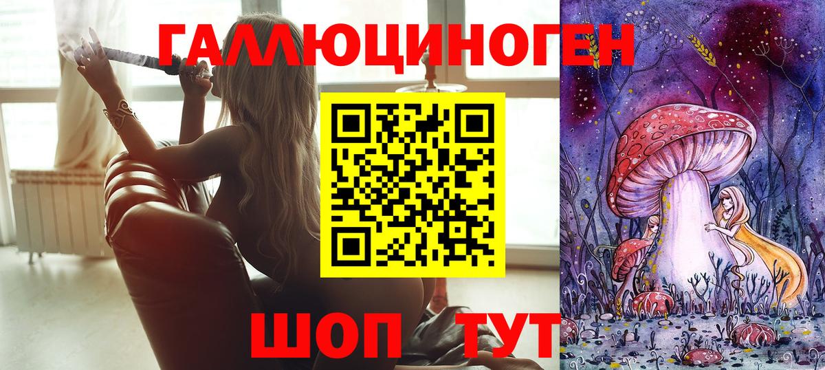 Галлюциногенные грибы Psilocybine cubensis Полысаево